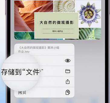 黄岛apple维修中心分享iPhone文件应用中存储和找到下载文件