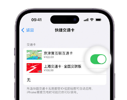 黄岛apple维修点分享iPhone上更换Apple Pay快捷交通卡手绘卡面 