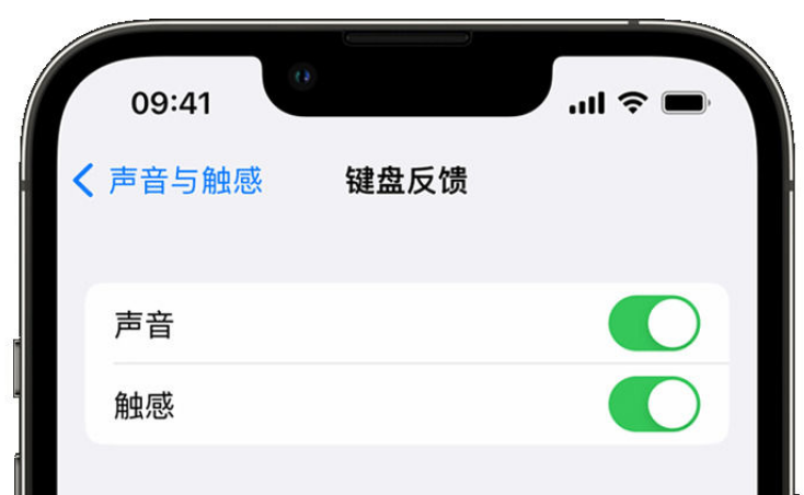 黄岛苹果手机维修分享iPhone 14触感键盘使用方法 