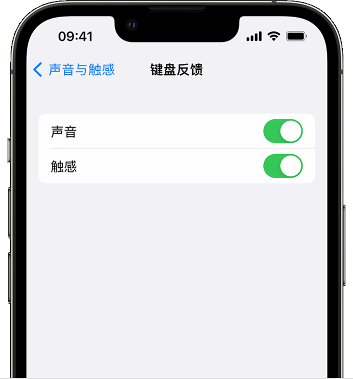 黄岛苹果14维修店分享如何在 iPhone 14 机型中使用触感键盘 