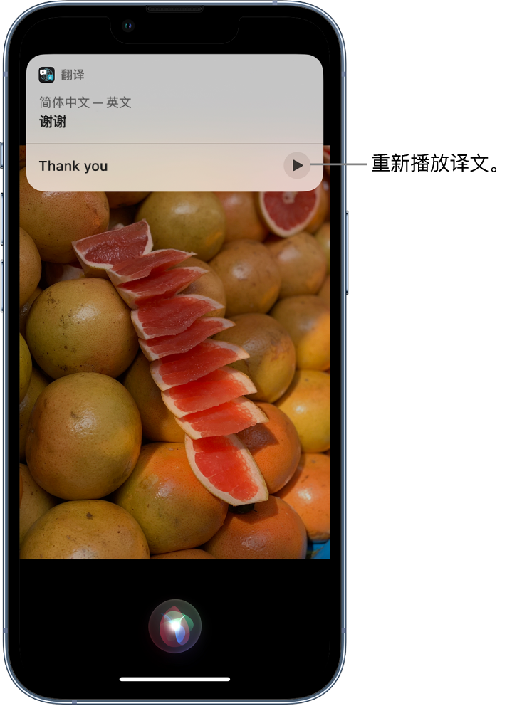 黄岛苹果14维修分享 iPhone 14 机型中使用 Siri：了解 Siri 能帮你做什么 