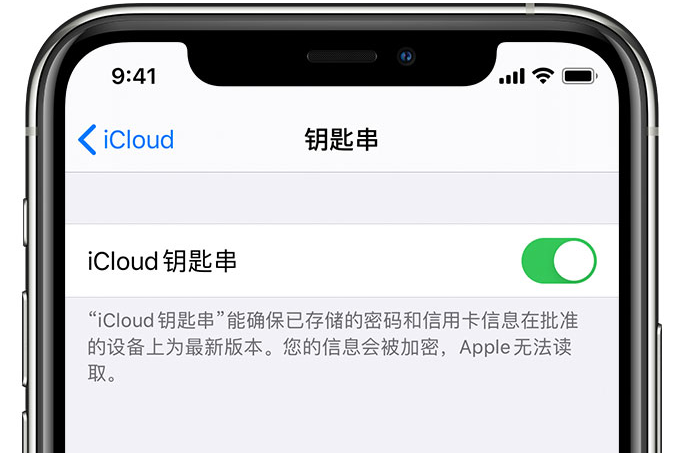 黄岛苹果手机维修分享在 iPhone 上开启 iCloud 钥匙串之后会储存哪些信息 