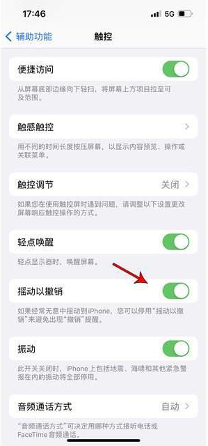 黄岛苹果手机维修分享iPhone手机如何设置摇一摇删除文字 