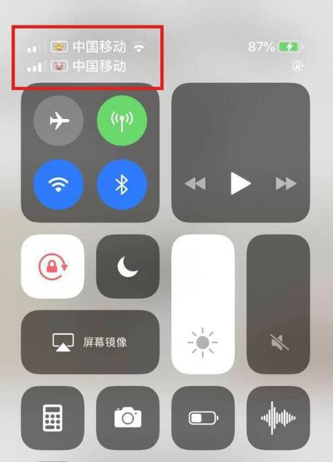 黄岛苹果手机维修分享为 iPhone 12 双卡设置标签 