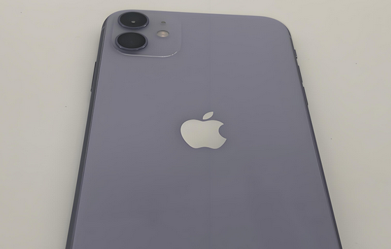 黄岛苹果11系统维修分享iPhone11手机系统崩溃无法开机如何解决 